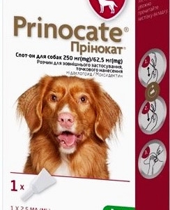 Крапли Принокат (Prinocate) для собак от внешних и внутренних паразитов 10 - 25 кг (1 пипетка 2,5 мл) KRKA