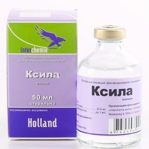 Ксила 50 мл Интерхим