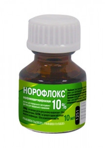 Норофлокс 10% оральный 10 мл флакон O.L.KAR