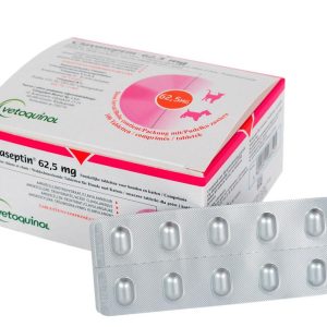 Клавасептин (Clavaseptin) 62,5 мг 10 табл. - 1 т/5 кг (для лечение заболеваний кожи кошек и собак)