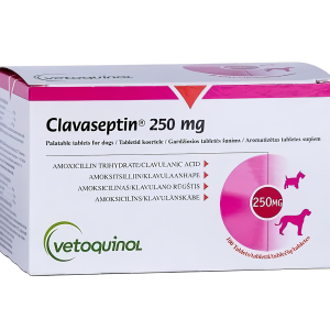 Клавасептин (Clavaseptin) 250 мг 10 табл. - 1т/20кг (для лечение заболеваний кожи кошек и собак) Vetoquino