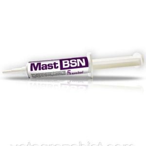 МАСТ BSN 5 мл шприц (мастисан А)