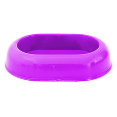 Миска №11 морська свинка Весна