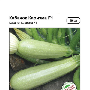 Насіння Кабачка Карізма 10 сем., Syngenta, Голандія