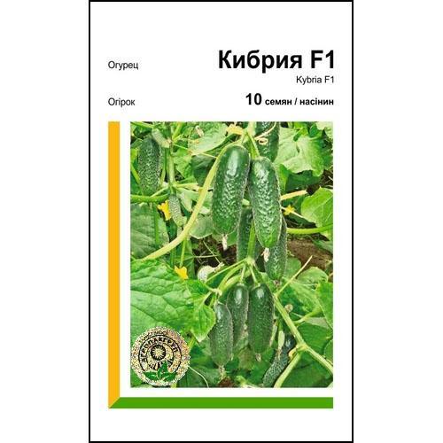 Насіння огірка Кибрия F1 10 сем., Rijk Zwaan, Голландія