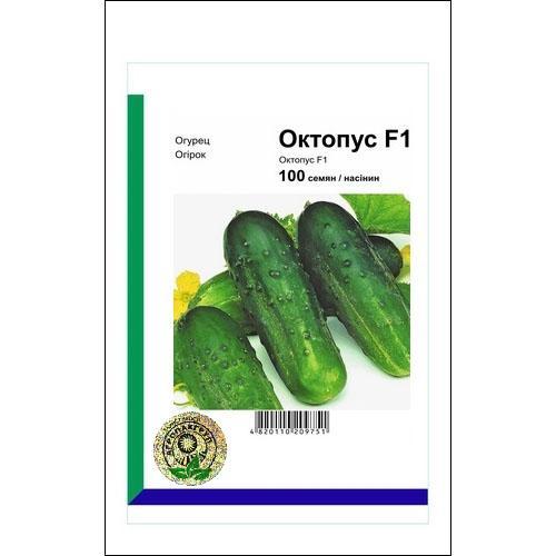 Насіння огірка Октопус F1 100 сем., Syngenta, Голандія