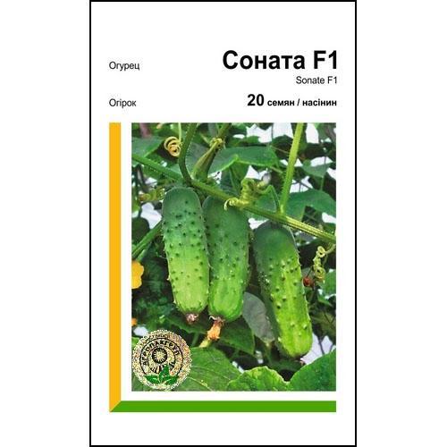Насіння огірка Соната F1 20 сем., Rijk Zwaan, Голландія