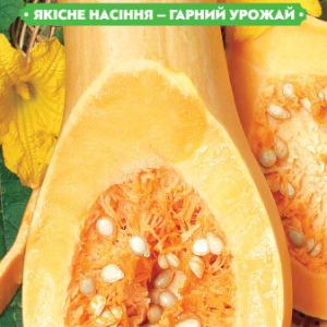 Насіння гарбуза Арабатська 2г, FAZENDA, O. L. KAR