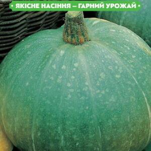 Насіння гарбуза Голосеменная 2г, FAZENDA, O. L. KAR