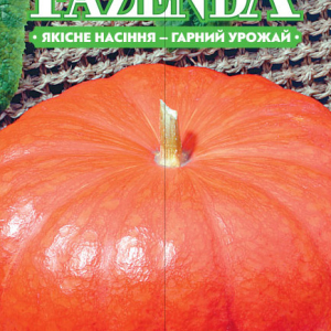 Насіння гарбуза Руж віф детамп 2г, FAZENDA, O. L. KAR
