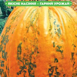 Насіння гарбуза Український багатоплідний 16г, FAZENDA, O. L. KAR