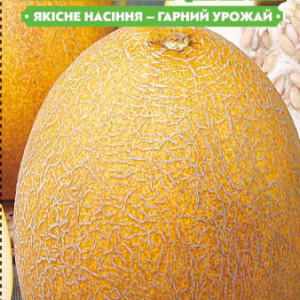 Насіння дині Рання 133 20г, FAZENDA, O. L. KAR