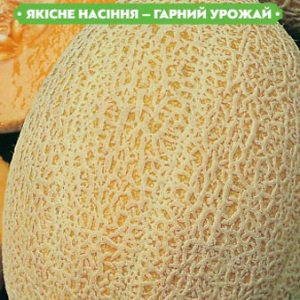 Насіння дині Тітовка 20г, FAZENDA, O. L. KAR