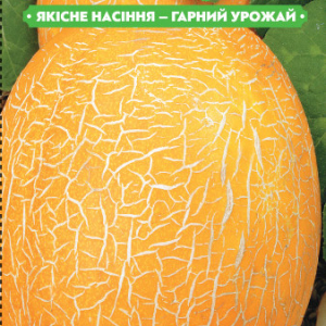 Насіння дині Фортуна 2г, FAZENDA, O. L. KAR