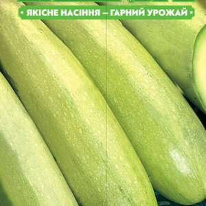 Насіння кабачка Бьянка 20г, FAZENDA, O. L. KAR