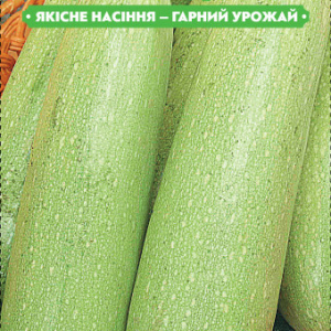 Насіння кабачка Грибовський 20г, FAZENDA, O. L. KAR