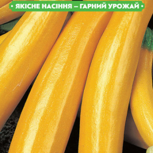 Насіння кабачка Золотинка 20г, FAZENDA, O. L. KAR