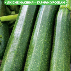 Насіння кабачка Шпачок 20г, FAZENDA, O. L. KAR
