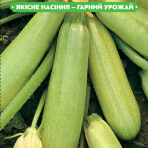 Насіння кабачка Чаклун 20г, FAZENDA, O. L. KAR