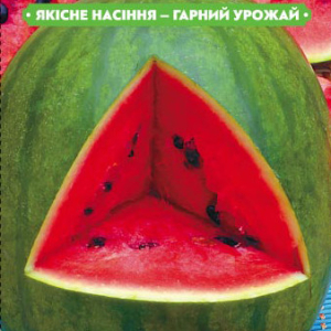 Насіння кавуна Красень 1г, FAZENDA, O. L. KAR