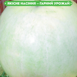 Насіння кавуна Сніжок 1г, FAZENDA, O. L. KAR