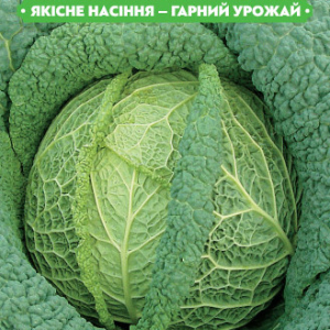 Насіння капусти Савойська вертус 1г, FAZENDA, O. L. KAR