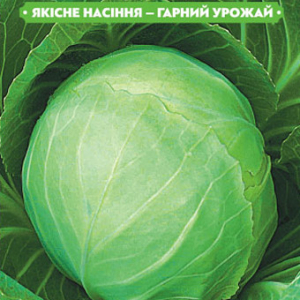 Насіння капусти Дитмаршер фрюер 5г, FAZENDA, O. L. KAR