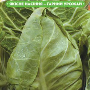 Насіння капусти Експрес 0.15 г, FAZENDA, O. L. KAR