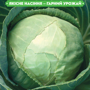 Насіння капусти Лангедейкер дауэр 1г, FAZENDA, O. L. KAR