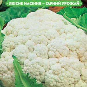 Насіння капусти Альфа 0.5 г, FAZENDA, O. L. KAR