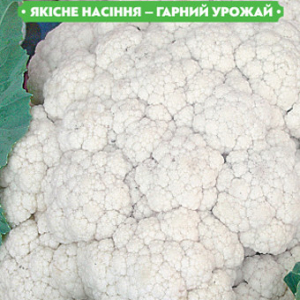 Насіння капусти Кольоровий мовір 0.5 г, FAZENDA, O. L. KAR