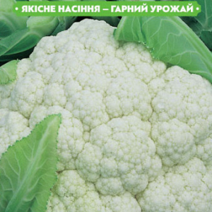 Насіння капусти корал 0.5 г, FAZENDA, O. L. KAR