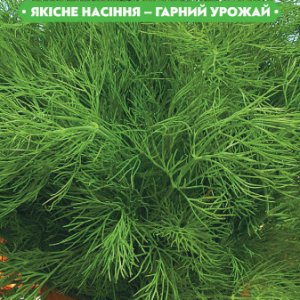 Семена укропа Шмарагд 20г, FAZENDA, O.L.KAR