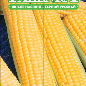 Насіння кукурудзи Цукрова ароматна 20г, FAZENDA, O. L. KAR