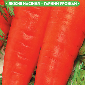Насіння моркви Регульська 2г, FAZENDA, O. L. KAR