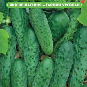 Насіння огірка Алладін F1 1г, (інкрустовані) FAZENDA, O. L. KAR