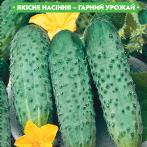 Насіння огірка Зубренок F1 1г, (+/-35 шт.) FAZENDA, O. L. KAR