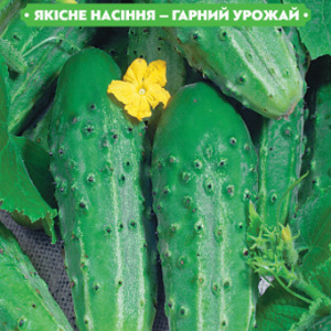 Насіння огірка Кущовий 1г, (+/-35 шт.) FAZENDA, O. L. KAR