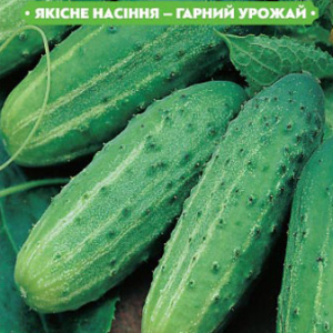 Насіння огірка Ніжинський F1 1г, (інкрустовані) FAZENDA, O. L. KAR