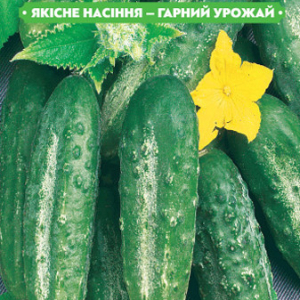 Насіння огірка Пола F1 1г, (+/-35 шт.) FAZENDA, O. L. KAR