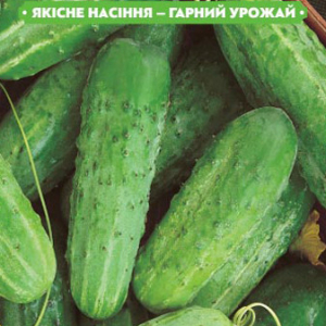 Насіння огірка Рацібор F1 1г, (+/-35 шт.) FAZENDA, O. L. KAR