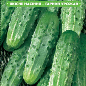 Насіння огірка Родничок F1 10г, (інкрустовані) FAZENDA, O. L. KAR