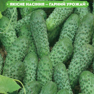 Насіння огірка Роял F1 20 сем., (інкрустовані) FAZENDA, O. L. KAR