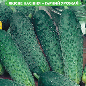 Насіння огірка Руфус F1 1г, (+/-35 шт.) (корнішон) FAZENDA, O. L. KAR