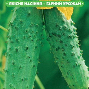Насіння огірка Син полку F1 20 сем., (інкрустовані) FAZENDA, O. L. KAR