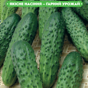 Насіння огірка Тітус F1 1г, (інкрустовані) FAZENDA, O. L. KAR