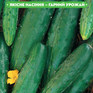 Насіння огірка Фенікс 640 F1 1г, (інкрустовані) FAZENDA, O. L. KAR