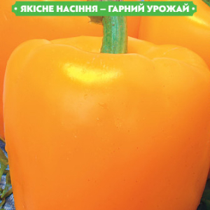 Насіння перцю Каліфорнійське диво золоте 0.3 г, FAZENDA, O. L. KAR