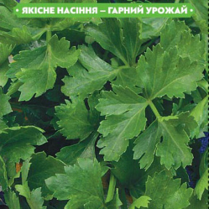 Насіння петрушки Листова гигантелла 20г, FAZENDA, O. L. KAR