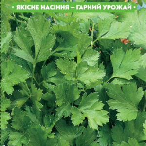 Насіння петрушки Листова фестиваль 20г, FAZENDA, O. L. KAR